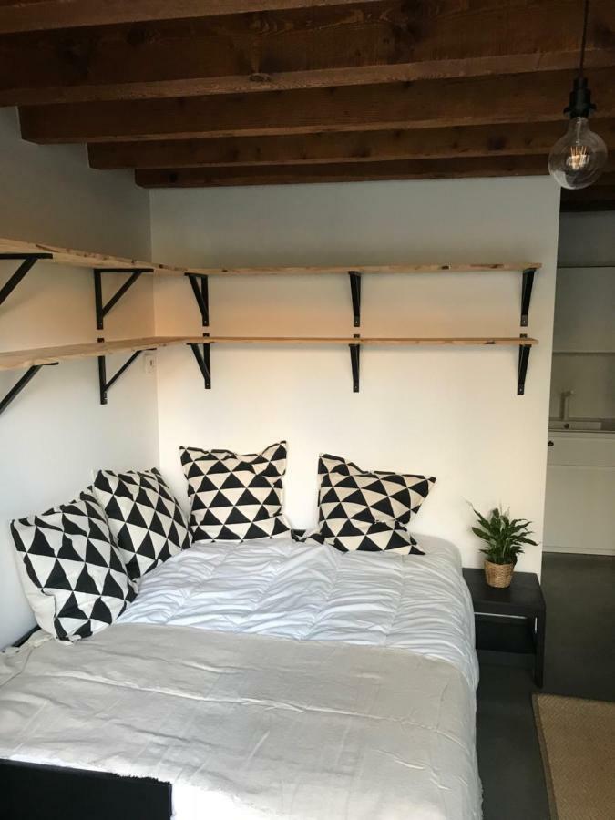 Le Studio Du Moulin Apartment Chambéry Exterior foto