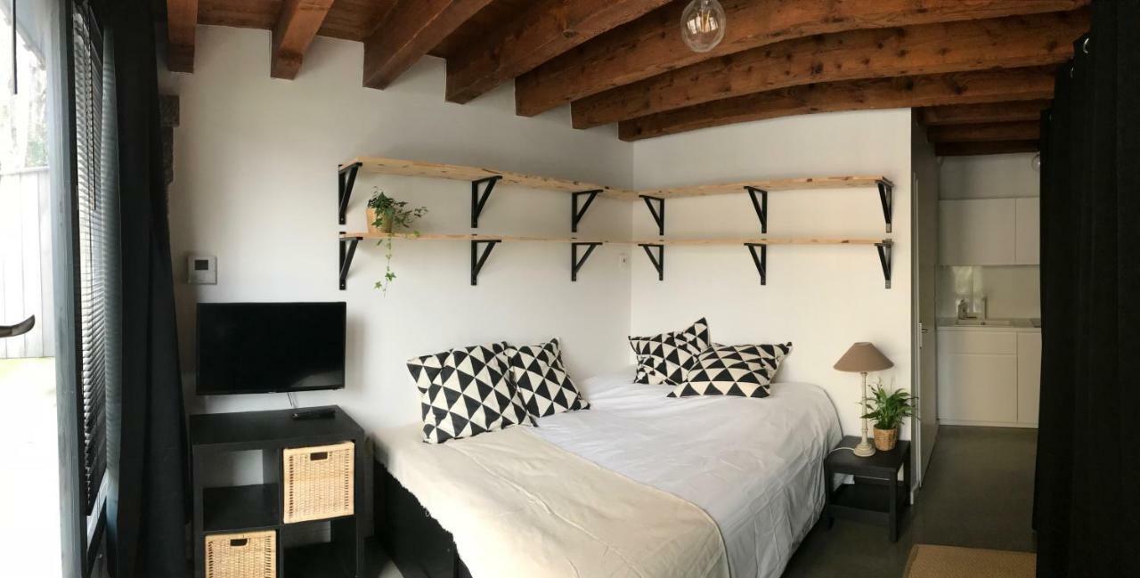 Le Studio Du Moulin Apartment Chambéry Exterior foto